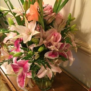 Meet your Posher, Jackie